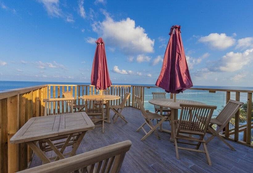 Fotos del hotel Coral Grand Beach & Spa:  3