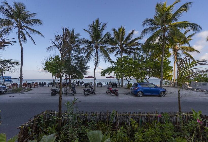 Fotos del hotel Coral Grand Beach & Spa:  4