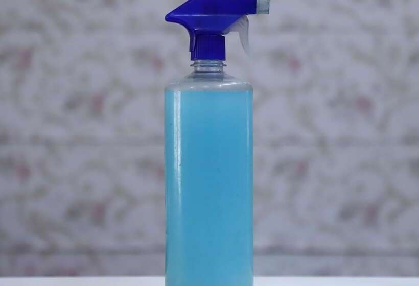 Fotos del hotel Capital O 22120 Hotel Universal Garden:  10