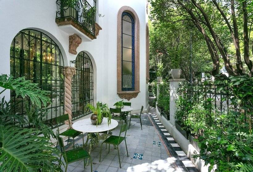 Orchid House Polanco