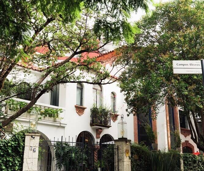 Fotos del hotel Orchid House Polanco:  14