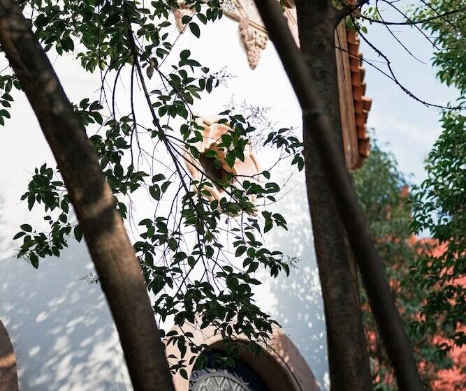 Fotos del hotel Orchid House Polanco:  9