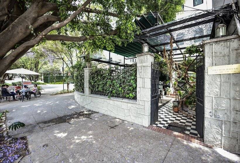 Fotos del hotel Orchid House Polanco:  6