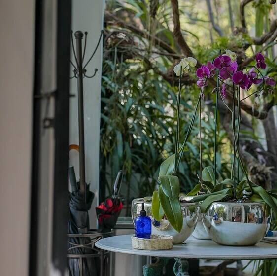 Fotos del hotel Orchid House Polanco:  5