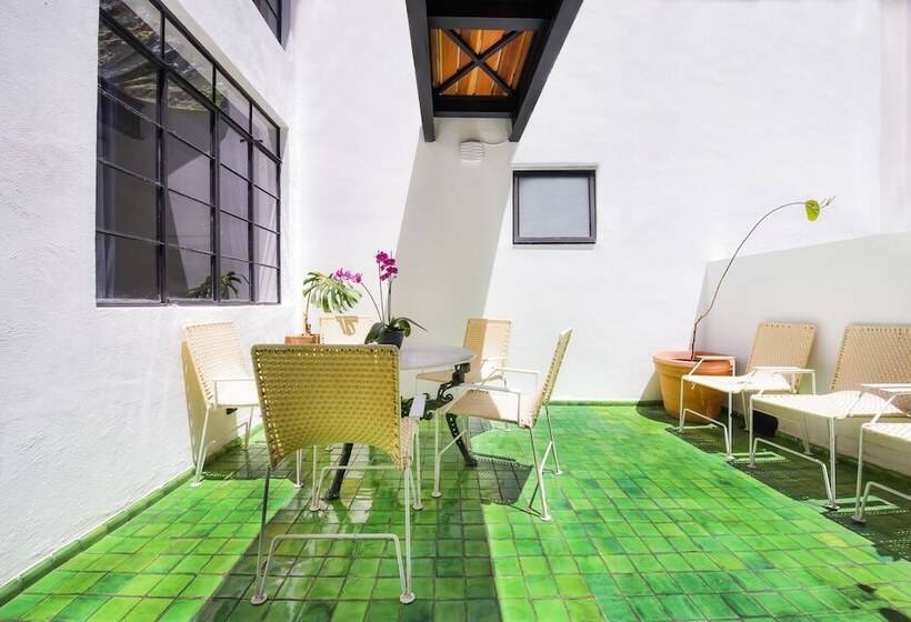 Fotos del hotel Orchid House Polanco:  17