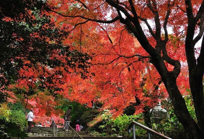 Fotos del hotel Hulaton Fukuokahakata:  6