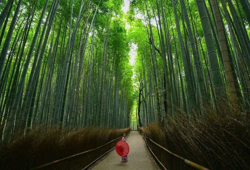 Fotos del hotel Tokyu Stay Kyoto Sakaiza:  12