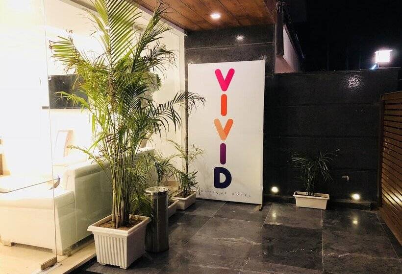 Fotos del hotel Vivid Boutique:  11
