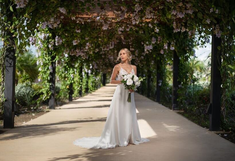 Fotos del hotel Live Aqua Beach Resort Punta Cana:  11