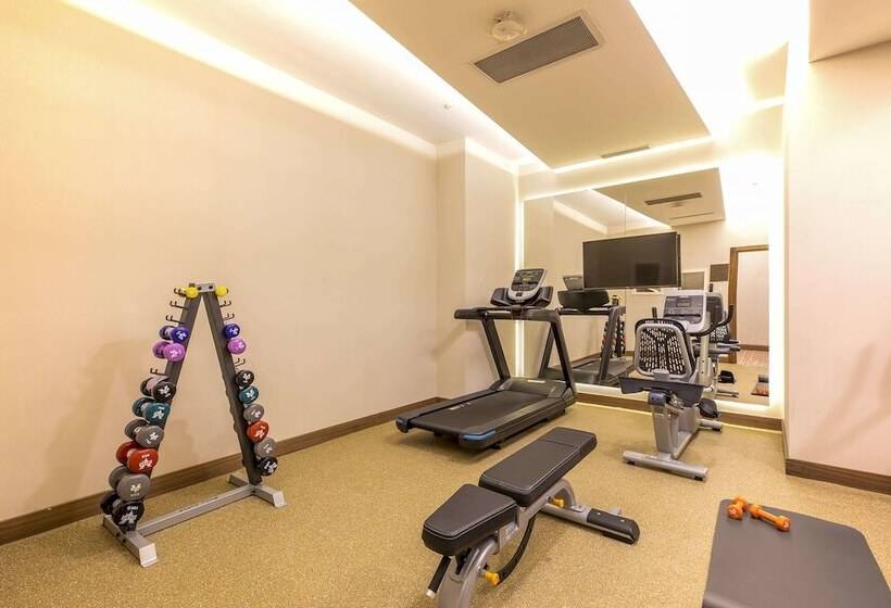 Fotos del hotel Mercure Istanbul Sirkeci:  16