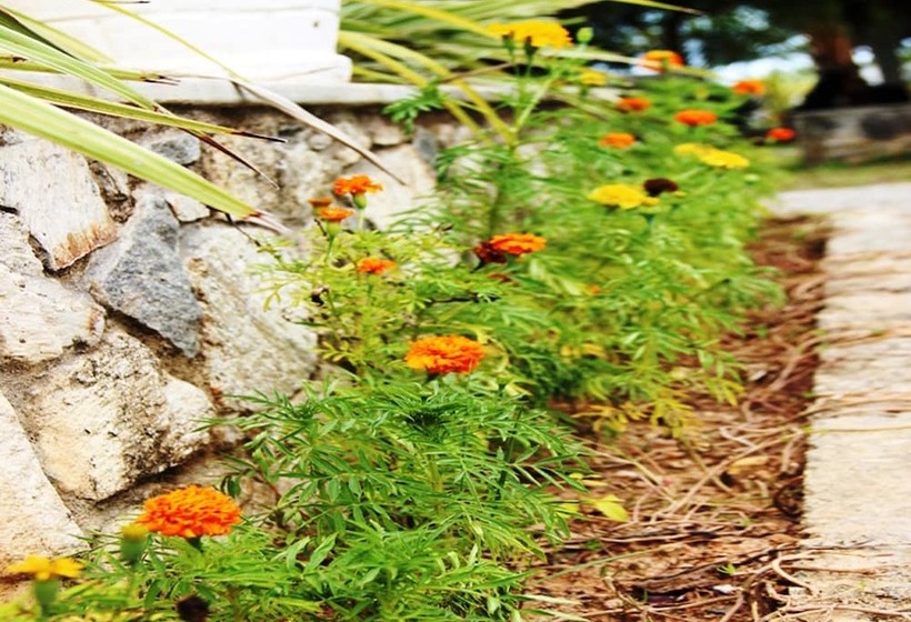 Fotos del hotel Fort Edge Retreat:  16