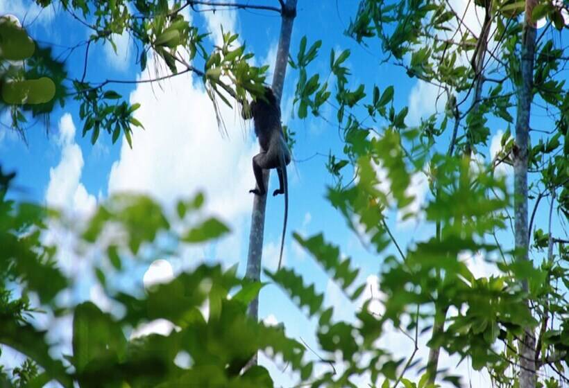 Fotos del hotel Fort Edge Retreat:  18