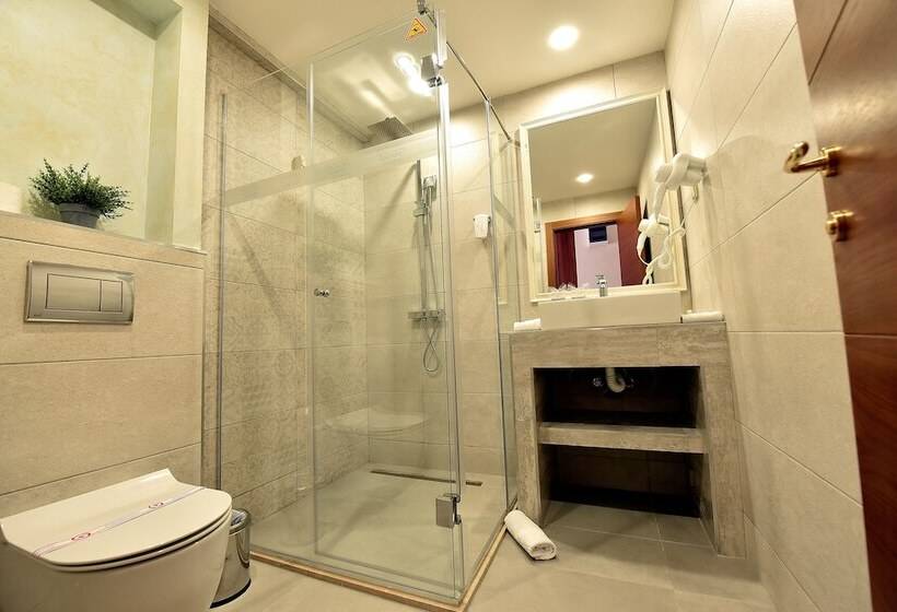 Fotos del hotel Lazaro:  5