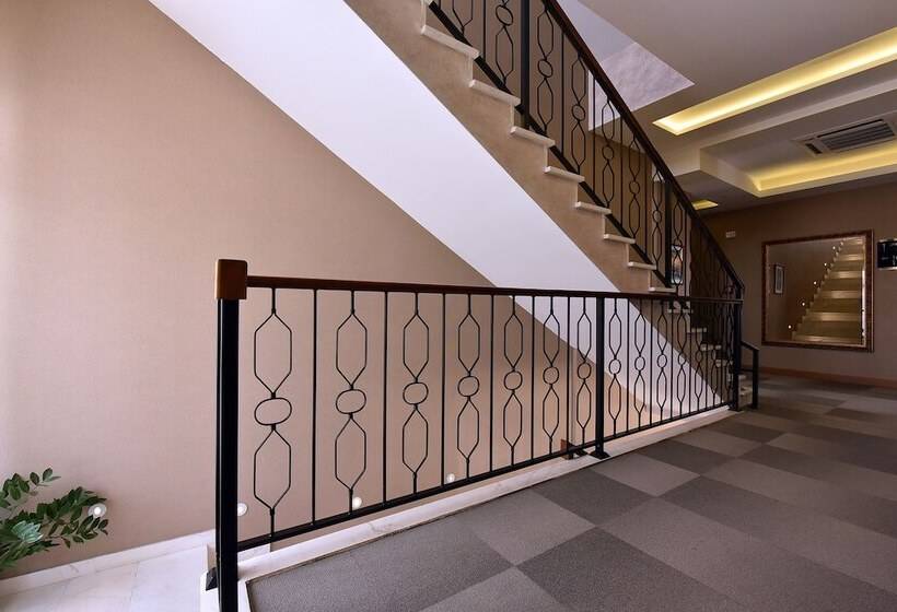 Fotos del hotel Lazaro:  16