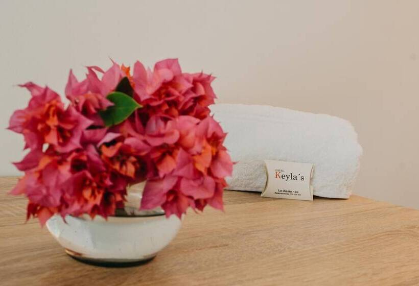 Fotos del hotel Keylas:  6