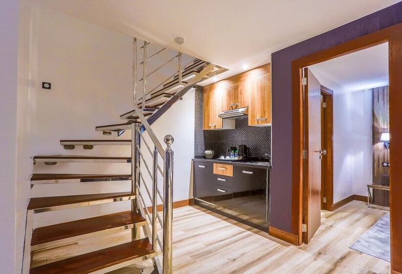 Fotos del hotel Sbn Suite Hôtel:  17