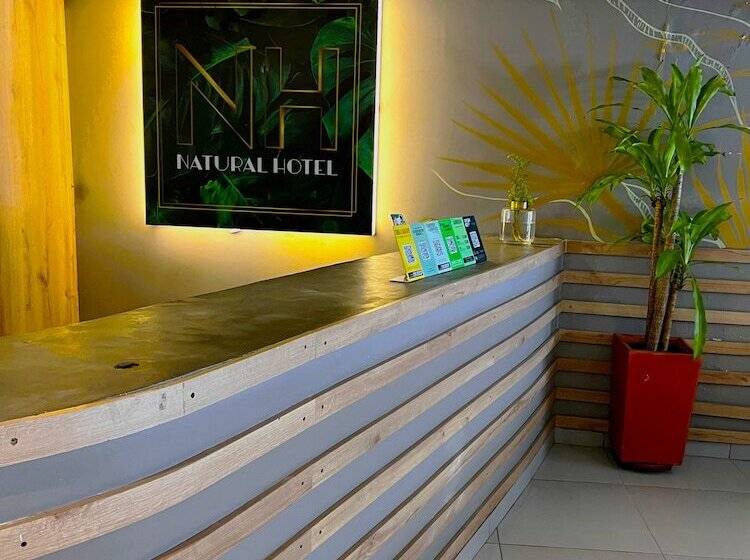 Fotos del hotel Suite 45:  3