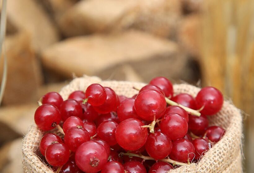 Fotos del hotel Grand Cosmopolitan:  8