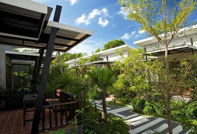 Fotos del hotel Dreamville Koh Phangan:  14