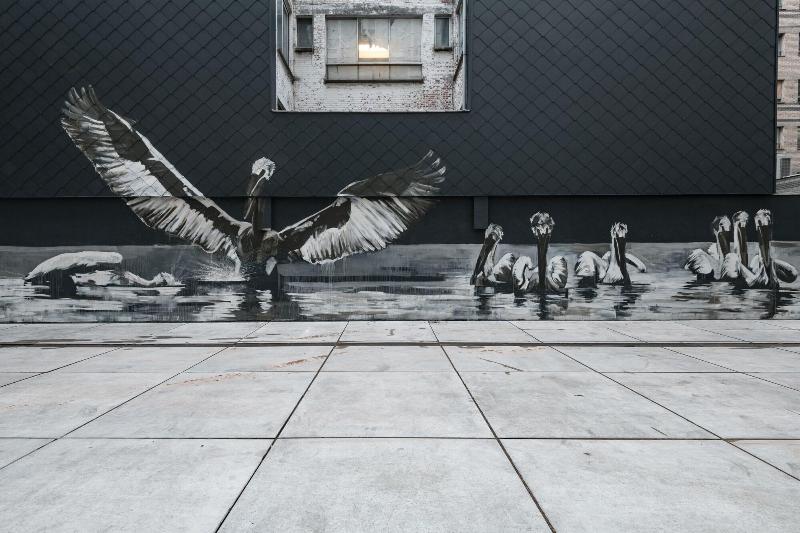 Fotos del hotel A-stay Antwerp:  16