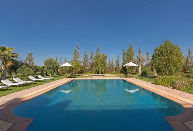 L’oliveraie De L’atlas