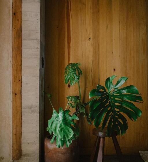 Fotos del hotel Escondido Oaxaca:  22