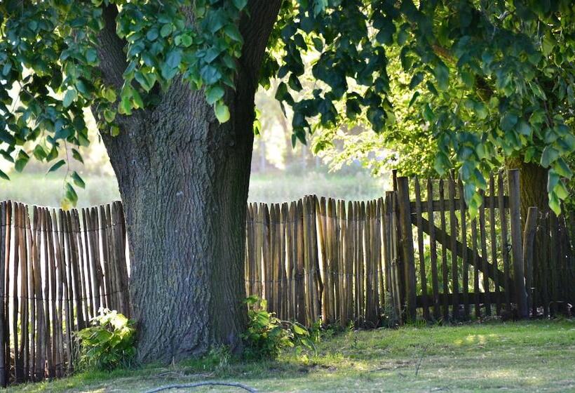 Fotos del hotel Bed & Breakfast Spoor 62:  12