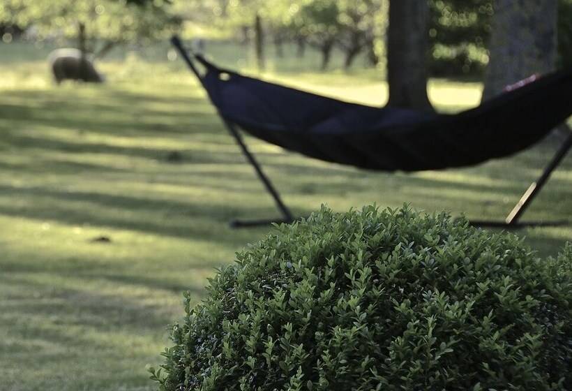 Fotos del hotel Bed & Breakfast Spoor 62:  14