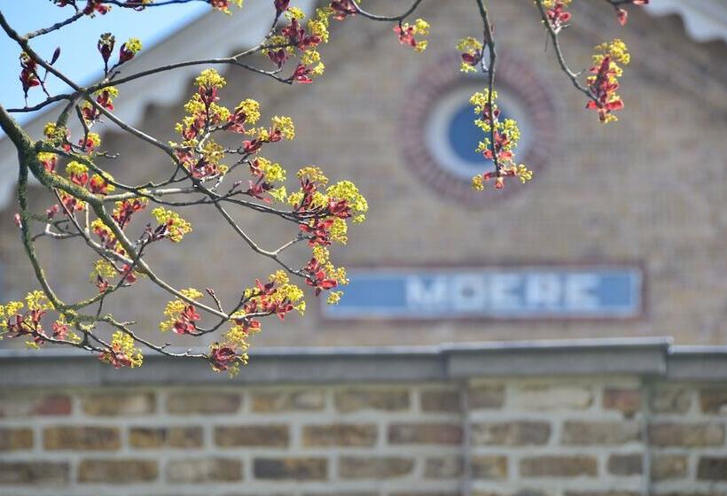 Fotos del hotel Bed & Breakfast Spoor 62:  21