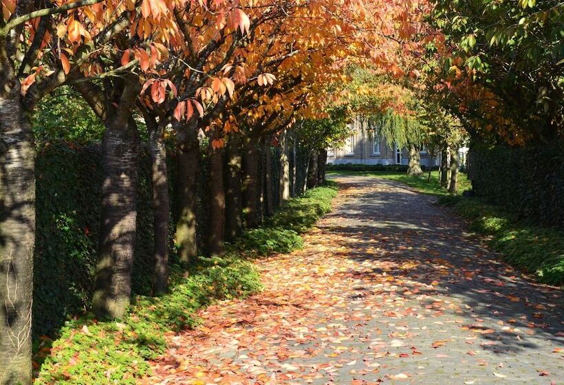 Fotos del hotel Bed & Breakfast Spoor 62:  22