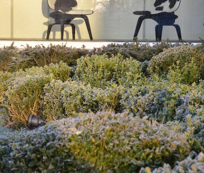 Fotos del hotel Bed & Breakfast Spoor 62:  25