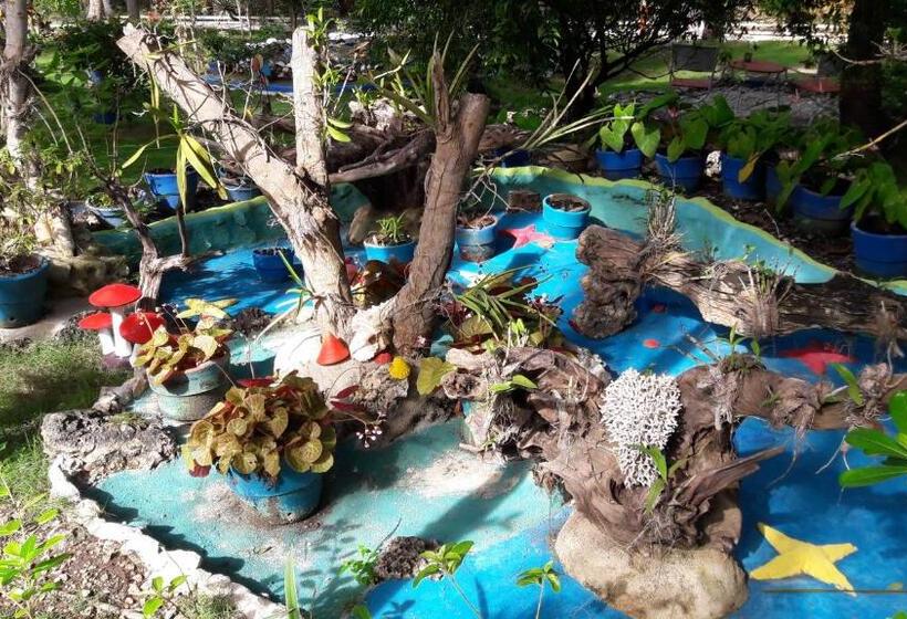 Fotos del hotel Casa De La Playa:  19