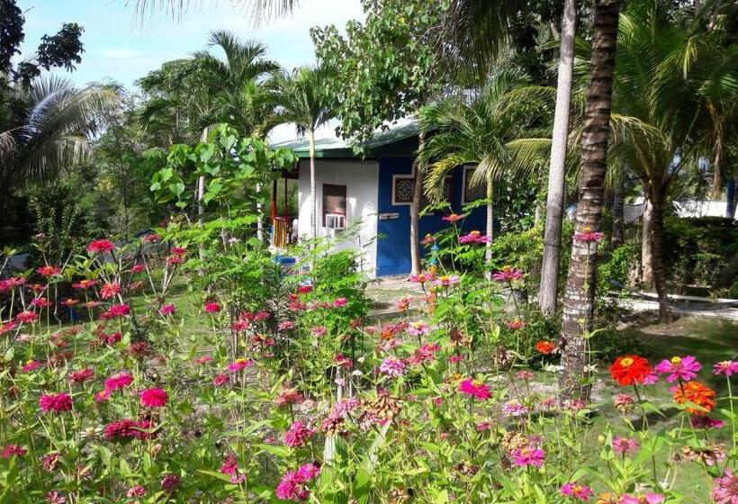 Fotos del hotel Casa De La Playa:  20