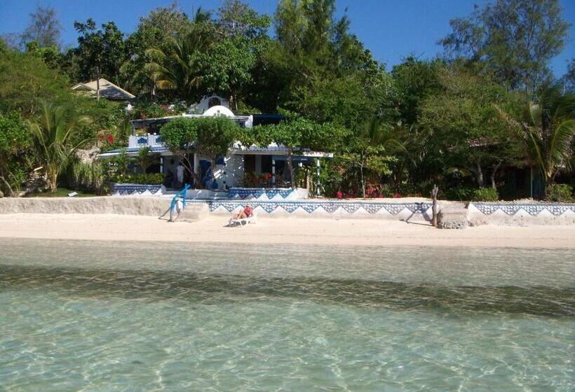 Fotos del hotel Casa De La Playa:  18