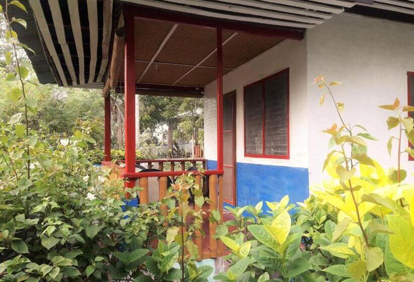 Fotos del hotel Casa De La Playa:  11