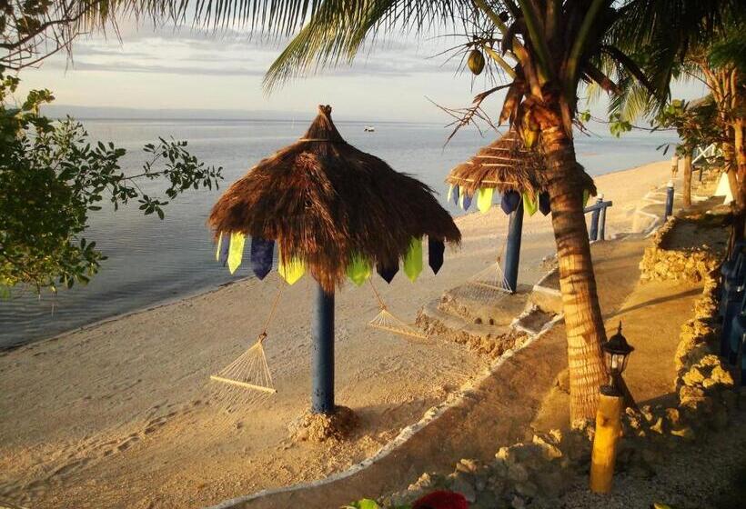 Fotos del hotel Casa De La Playa:  25