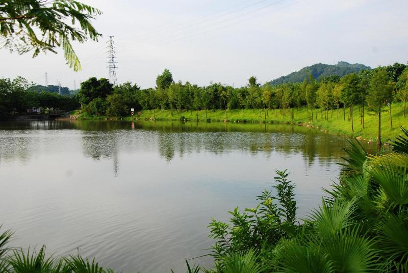 Fotos del hotel Courtyard By Marriott Shenzhen Northwest:  25