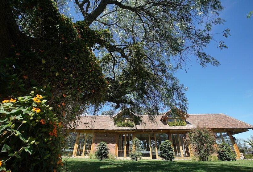 Fotos del hotel Quito Polo Boutique:  3