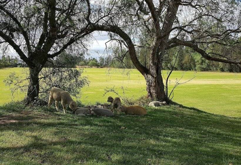 Fotos del hotel Quito Polo Boutique:  7
