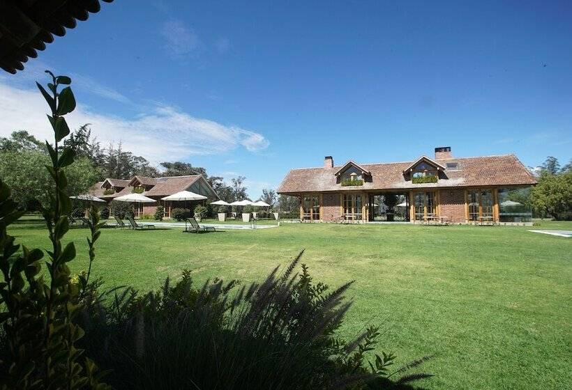 Fotos del hotel Quito Polo Boutique:  9