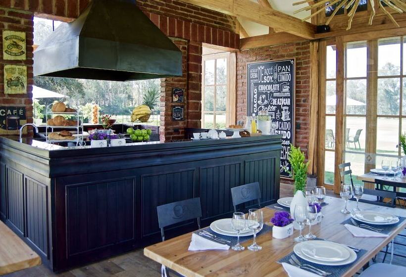 Fotos del hotel Quito Polo Boutique:  10