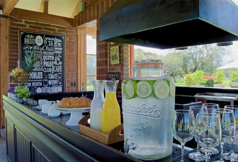 Fotos del hotel Quito Polo Boutique:  13