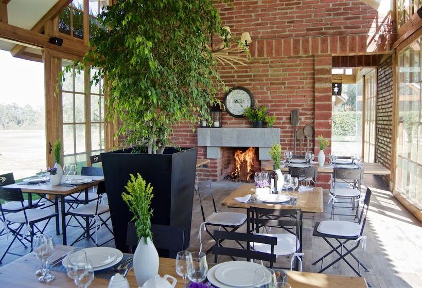 Fotos del hotel Quito Polo Boutique:  15