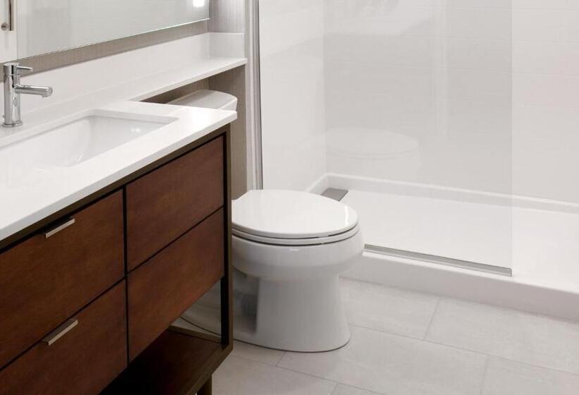 Towneplace Suites By Marriott Orlando Downtown