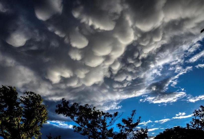 Fotos del hotel Kerry Lodge Bed & Breakfast:  9