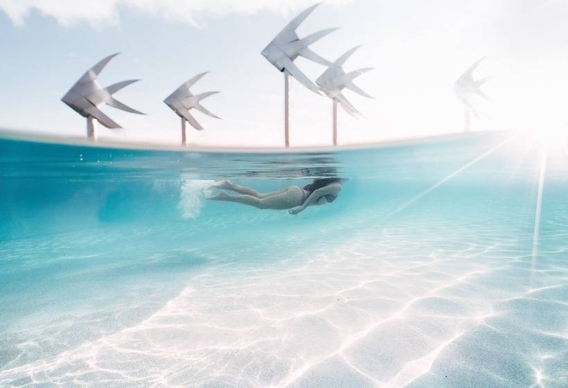 Fotos del hotel Oaks Cairns:  4