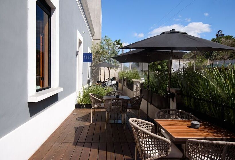 Fotos del hotel Diez Diez Collection:  9