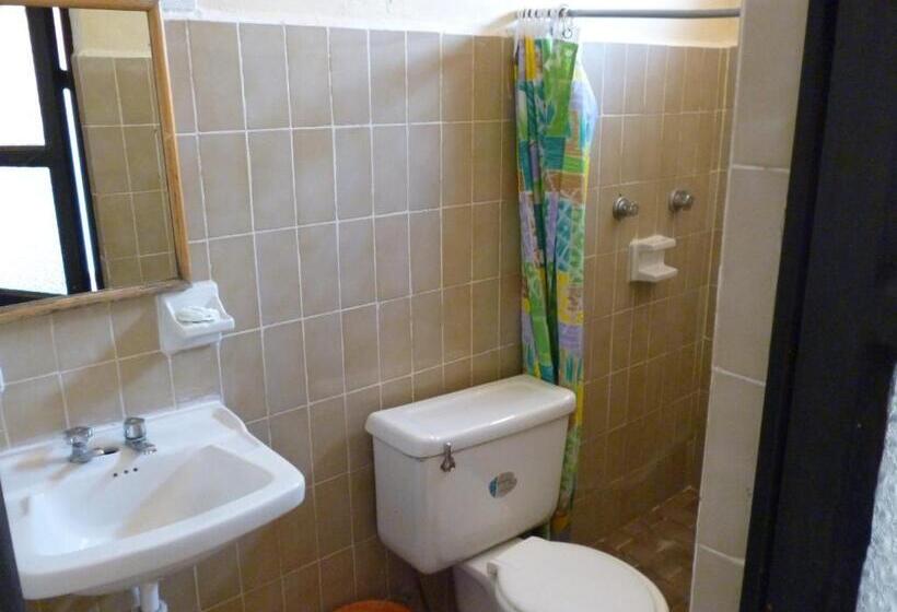 Fotos del hotel San Martin:  8