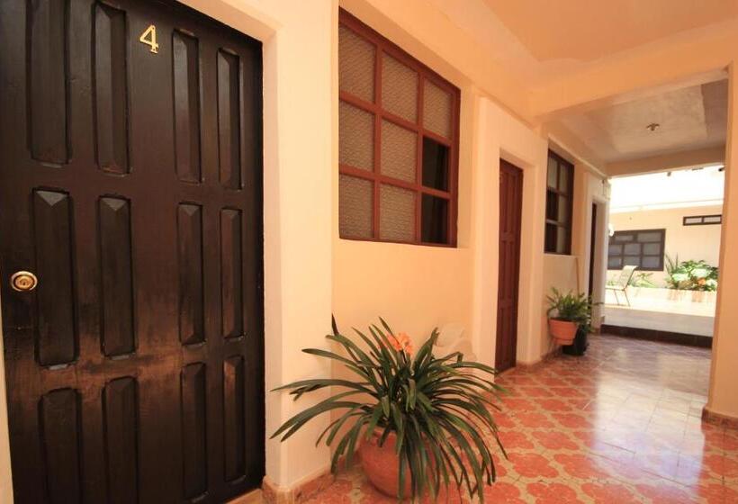 Fotos del hotel San Martin:  18