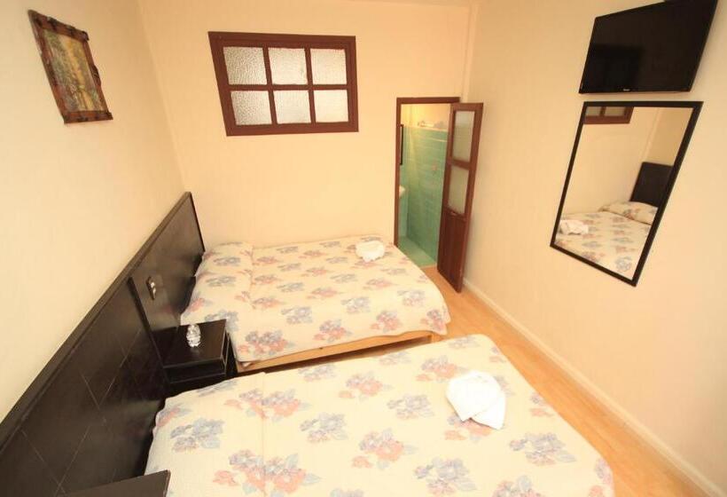 Fotos del hotel San Martin:  3